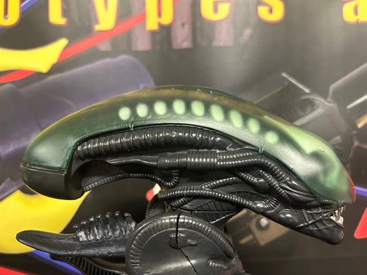 Custom Acid Green Dome with  Inner Teeth Set image 1