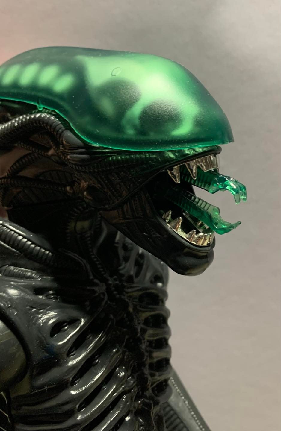 Custom Acid Green Dome with  Inner Teeth Set image 0