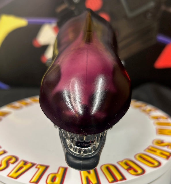 Custom Purple Acid  Dome with  Inner Teeth Set